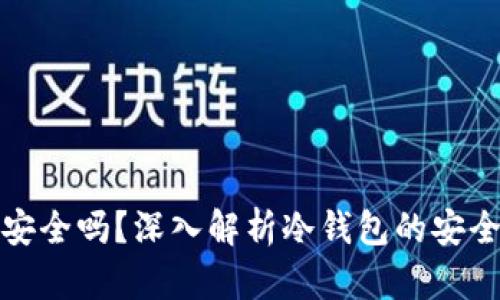 TP钱包冷钱包安全吗？深入解析冷钱包的安全性与防盗策略