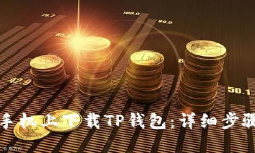 如何在苹果手机上下载TP钱包：详细步骤与使用指南