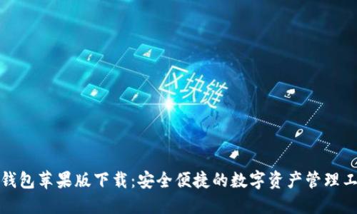TP钱包苹果版下载：安全便捷的数字资产管理工具