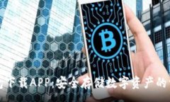 :TP冷钱包下载APP：安全存储数字资产的首选工具