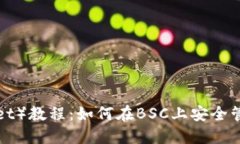 TP钱包（TP Wallet）教程：如何在BSC上安全管理您的