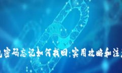 TP钱包密码忘记如何找回：