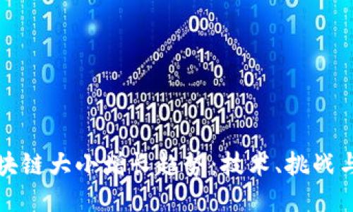 比特币区块链大小增长趋势：技术、挑战与未来趋势