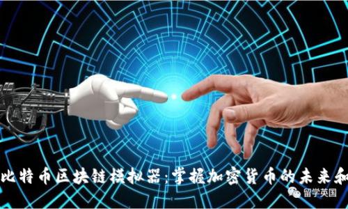 探索比特币区块链模拟器：掌握加密货币的未来和应用