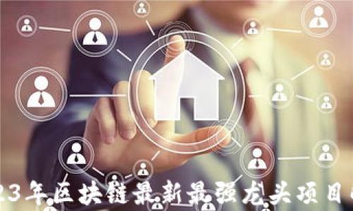 
2023年区块链最新最强龙头项目解析