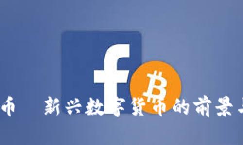 区块链FM币—新兴数字货币的前景与风险分析