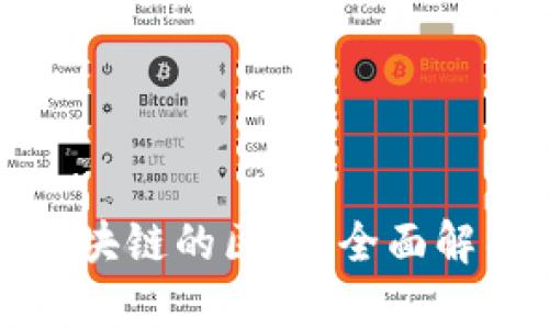 派币与数字区块链的区别：全面解析与发展前景