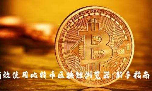 如何有效使用比特币区块链浏览器：新手指南与技巧