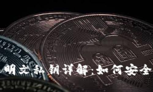 TP钱包私钥与明文私钥详解：如何安全管理加密资产