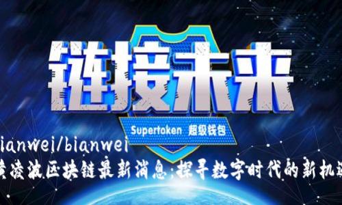 bianwei/bianwei  
黄凌波区块链最新消息：探寻数字时代的新机遇