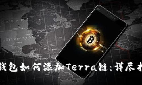 TP钱包如何添加Terra链：详尽指南