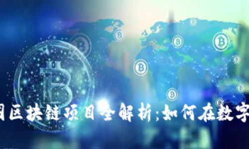 2023年热门网赚币圈区块链项目全解析：如何在数字资产浪潮中乘风破浪