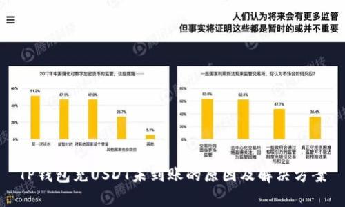 TP钱包充USDT未到账的原因及解决方案