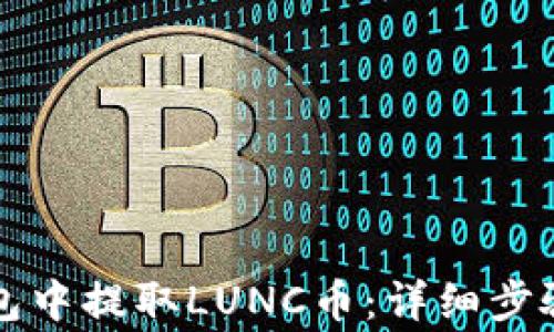 如何在TP钱包中提取LUNC币:详细步骤和注意事项