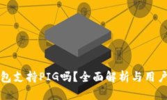 TP钱包支持PIG吗？全面解析