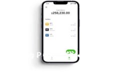 TP钱包中的POKB代币解析与