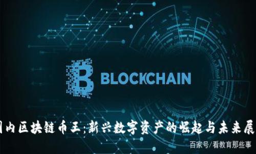 国内区块链币王：新兴数字资产的崛起与未来展望