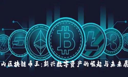 国内区块链币王：新兴数字资产的崛起与未来展望