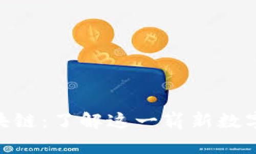 人民创投区块链：了解这一崭新数字货币的全貌