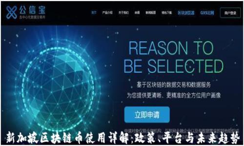 
新加坡区块链币使用详解：政策、平台与未来趋势