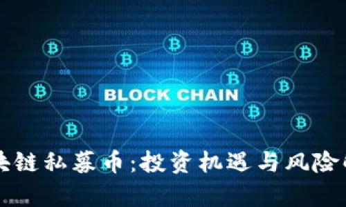 区块链私募币：投资机遇与风险解析