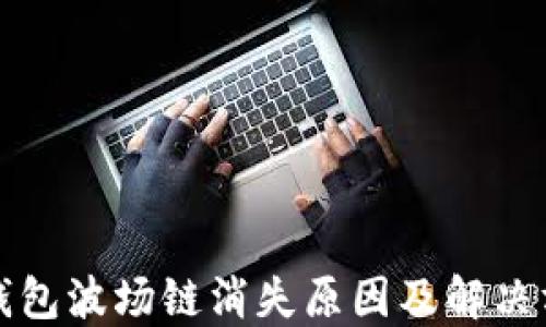 
TP钱包波场链消失原因及解决方案