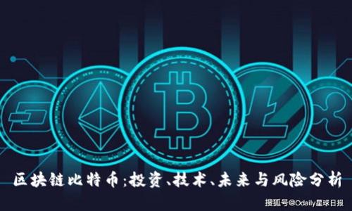 区块链比特币：投资、技术、未来与风险分析