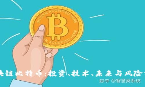 区块链比特币：投资、技术、未来与风险分析