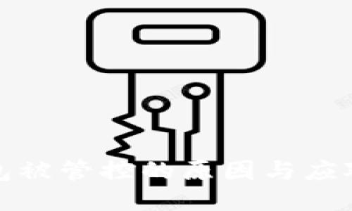 TP钱包被管控的原因与应对策略